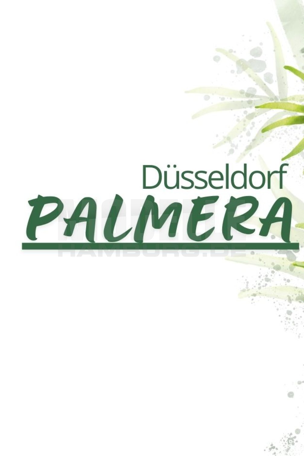 Palmera